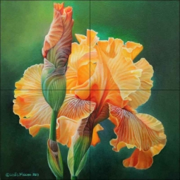 Iris Study II by Leslie Macon Ceramic Tile Mural - LMA057