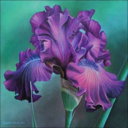 Iris Study III by Leslie Macon Ceramic Accent & Decor Tile - LMA058AT