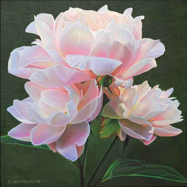 Peony Study VII by Leslie Macon Ceramic Accent & Decor Tile - LMA068AT