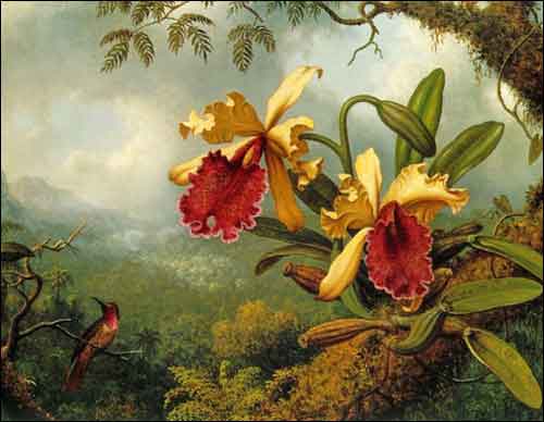 Heade Orchids Hummingbird Ceramic Accent Tile