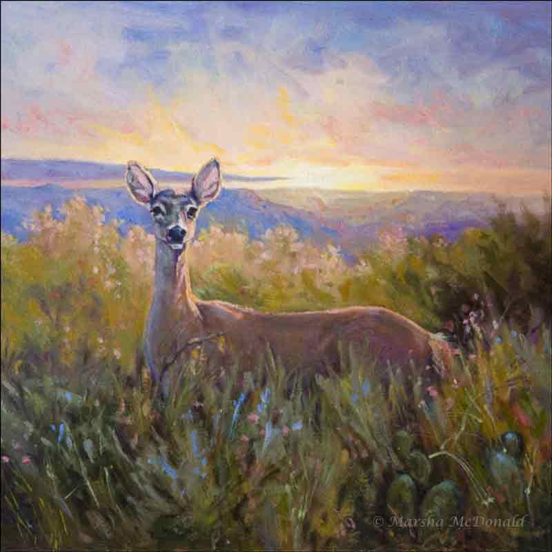Marsha McDonald