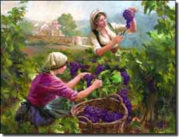 Grape Harvest by Nenad Mirkovich Ceramic Accent Tile 8" x 6" - NMA036AT