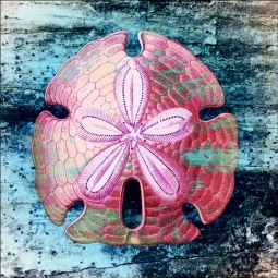 Sand Dollar by Agata & Hector Ceramic Accent & Decor Tile OB-AGA37AT