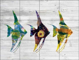 Three Angel Fish on White by Elizabeth St Hilaire Ceramic Tile Mural OB-EN958