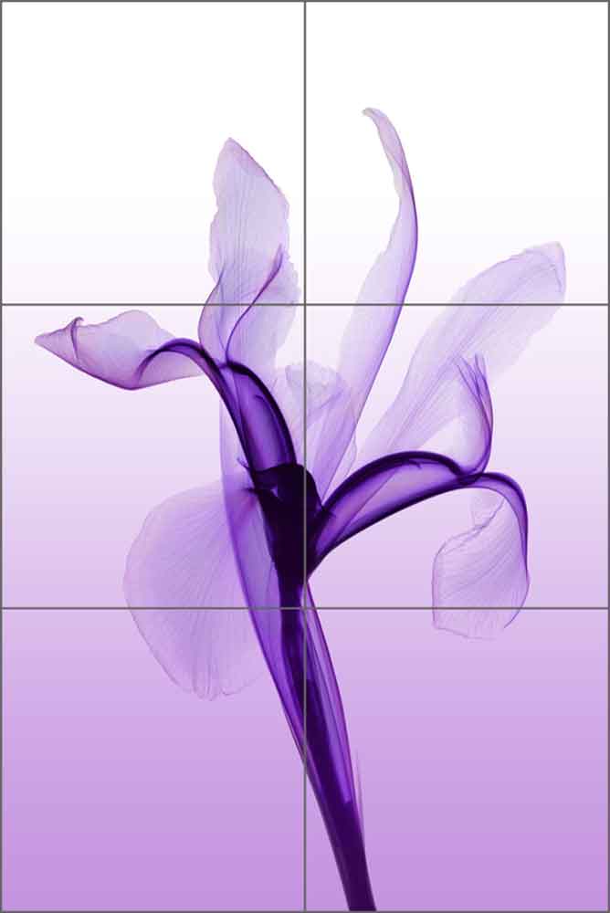 Iris by Hong Pham Ceramic Tile Mural - OB-HP08