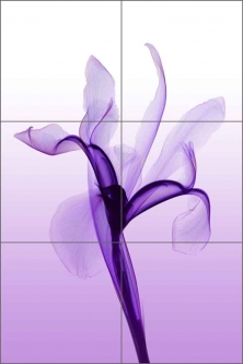 Iris by Hong Pham Ceramic Tile Mural - OB-HP08