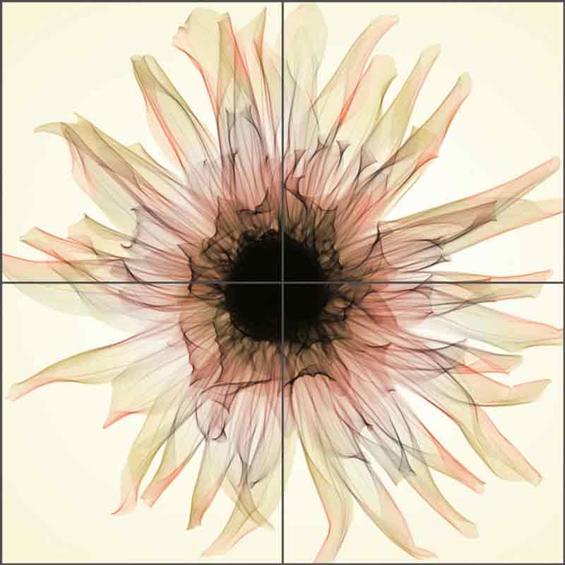 Dahlia III - sepia by Hong Pham Ceramic Tile Mural OB-HP12c