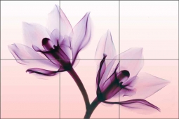 Orchids by Hong Pham Ceramic Tile Mural OB-HP18