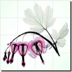 Pham Bleeding Heart Floral Glass Wall & Floor Tile Mural 24" x 24" - OB-HP25