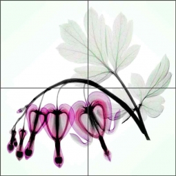 Bleeding Heart - Square by Hong Pham Ceramic Tile Mural OB-HP25a