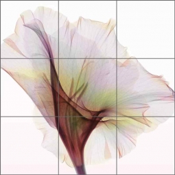 Gladiolus - Square by Hong Pham Ceramic Tile Mural - OB-HP34b