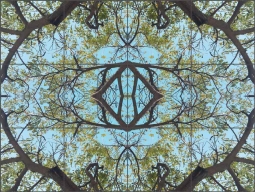 Natural Pattern 75 by Irena Orlov Ceramic Tile Mural OB-ORL8746