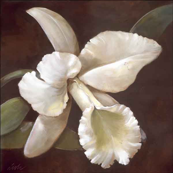 White Orchid by Wilder Rich Ceramic Accent & Decor Tile - OB-WR1334AT