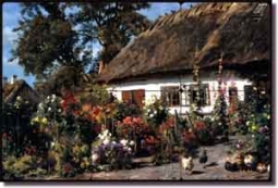 Country Garden Rooster Tumbled Marble Tile Mural 18" x 12"