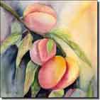 Neufeld Fruit Ceramic Accent Tile 6" x 6" - PNA005AT2