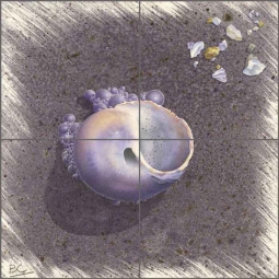 Seashells & Tiny Bubbles by Brian Cody Ceramic Tile Mural POV-BCA006
