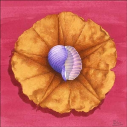 Tonna Shell and Warm Flower by Brian Cody Ceramic Accent & Decor Tile POV-BCA008AT