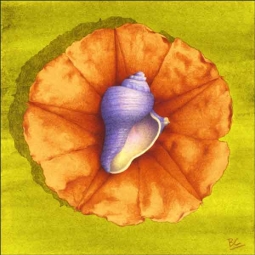 Vole Conch and Orange Flower by Brian Cody Ceramic Accent & Decor Tile POV-BCA009AT