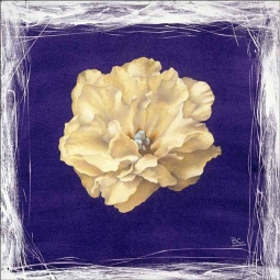 Violet Blossom by Brian Cody Ceramic Accent & Decor Tile - POV-BCA013AT