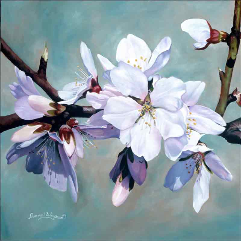 Almond Blossoms 1 by Donna Wayman Ceramic Accent & Decor Tile - POV-DW001AT