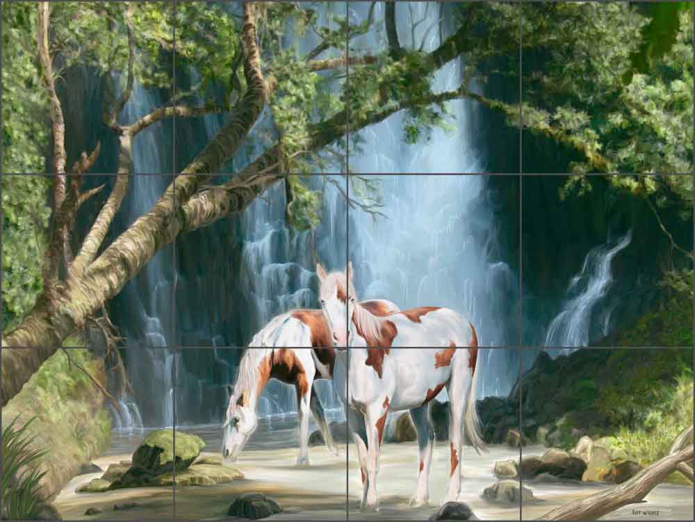 Appaloosa Falls by Jeff Wilkie Ceramic Tile Mural - POV-JWA005