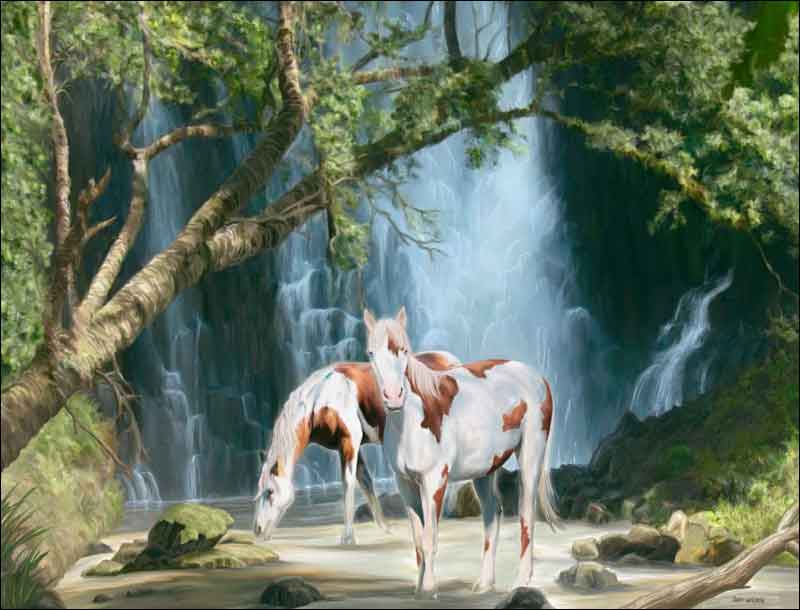 Appaloosa Falls by Jeff Wilkie Ceramic Accent & Decor Tile - POV-JWA005AT