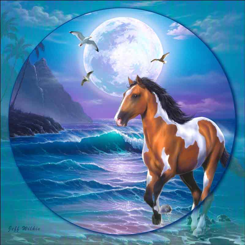 Appaloosa Dreams II by Jeff Wilkie Ceramic Accent & Decor Tile - POV-JWA042AT