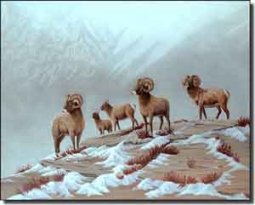 Kendrick Animals Sheep Ceramic Accent Tile 10" x 8" - POV-LKA008AT