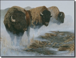 Silent Thunder by Lane Kendrick Ceramic Accent Tile 8" x 6"  - POV-LKA022AT