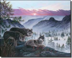 Kendrick Animal Wolves Ceramic Accent Tile 10" x 8" - POV-LKA024AT