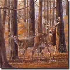 Binks Deer Animals Ceramic Accent Tile 6" x 6" - REB007AT