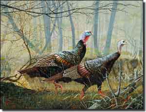 Binks Turkey Wildlife Ceramic Accent Tile 8" x 6" - REB018AT