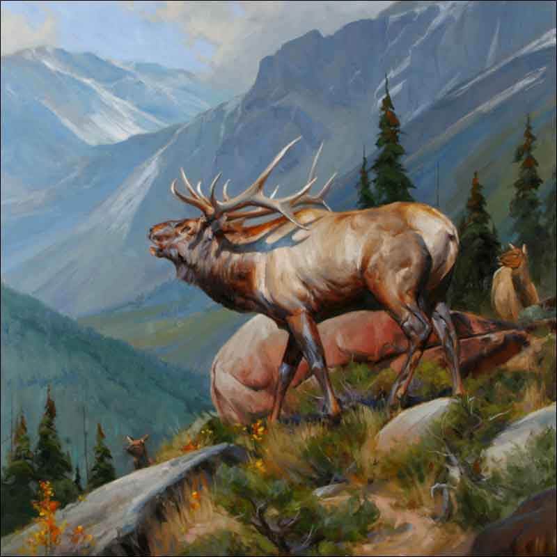 Edward Aldrich