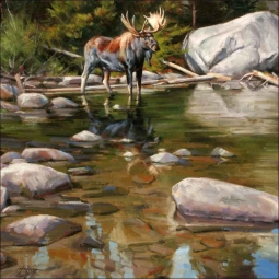 In the Shallows by Edward Aldrich Ceramic Accent & Decor Tile - RW-EA017AT