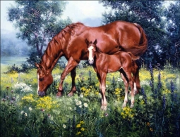 Horse Tile Mural Diane Williams Equine Art Ceramic Backsplash DWA011 