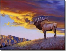 Chapman Elk Lodge Art Ceramic Accent Tile 8" x 6" - RW-JTC010AT