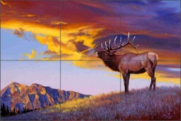 Ceramic Tile Mural Backsplash Aldrich Elk Wildlife Animal Art  RW-EA009 