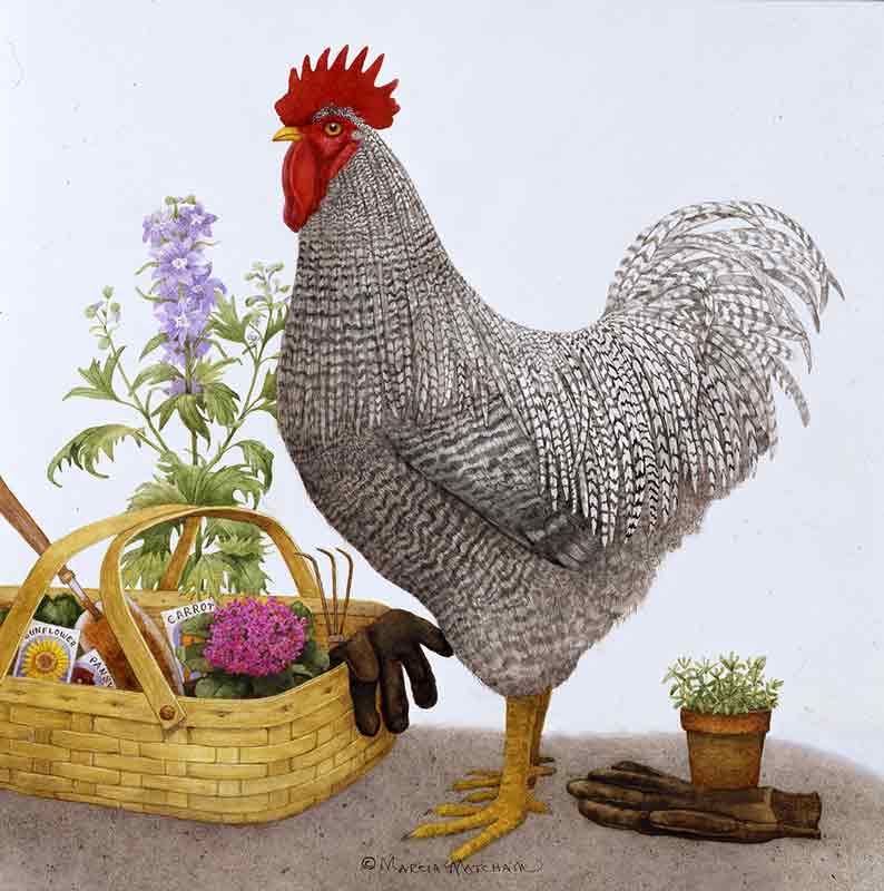 Marcia Matcham