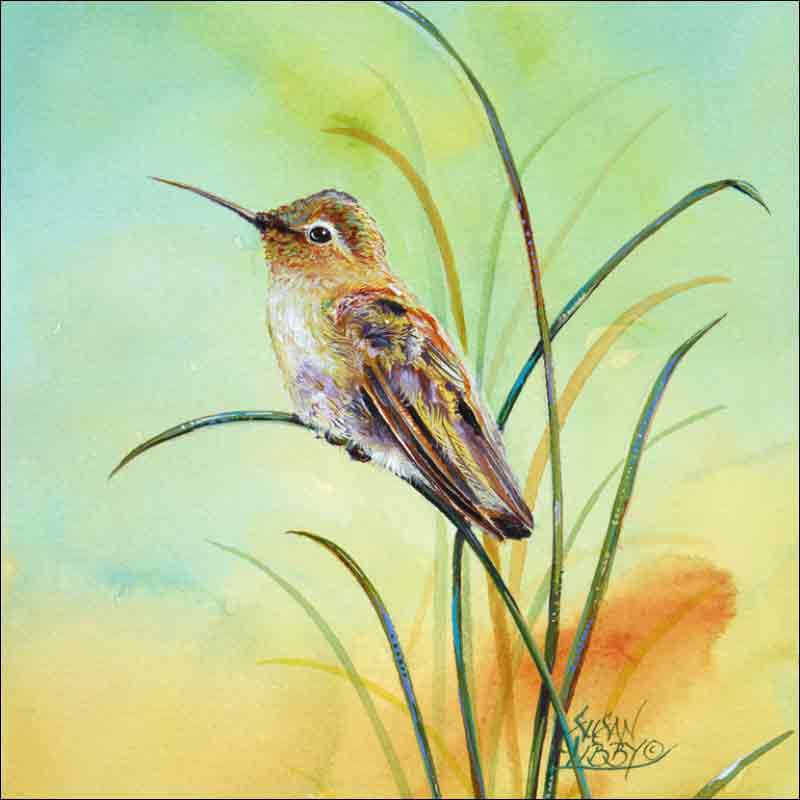 Sitting Hummer by Susan Libby Ceramic Accent & Decor Tile - SLA032AT