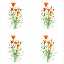 California Poppy by Susan Libby Ceramic Accent & Decor Tile Set - SLA042AT