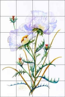 Prickly Poppy by Susan Libby Ceramic Tile Mural - SLA048
