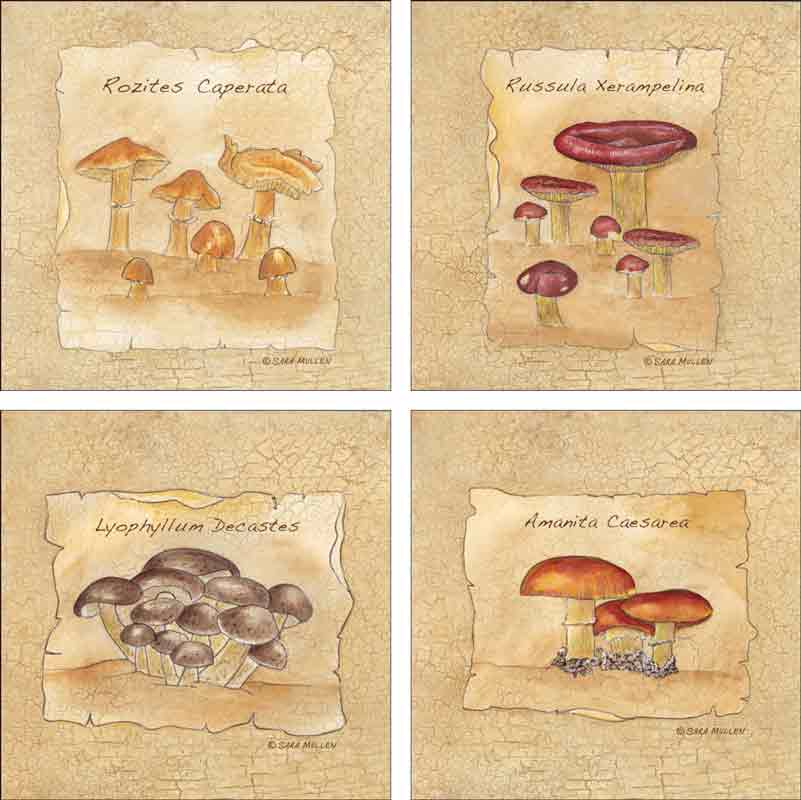 Mushrooms Set 1 by Sara Mullen Ceramic Accent & Decor Tile Set - SMATSet1