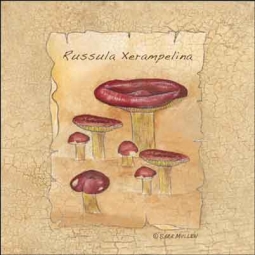 Mullen Mushroom Kitchen Ceramic Accent Tile - SM069
