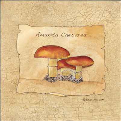 Mullen Mushroom Kitchen Ceramic Accent Tile - SM071