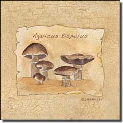 Mullen Mushroom Kitchen Ceramic Accent Tile 4.25" x 4.25" - SM073AT