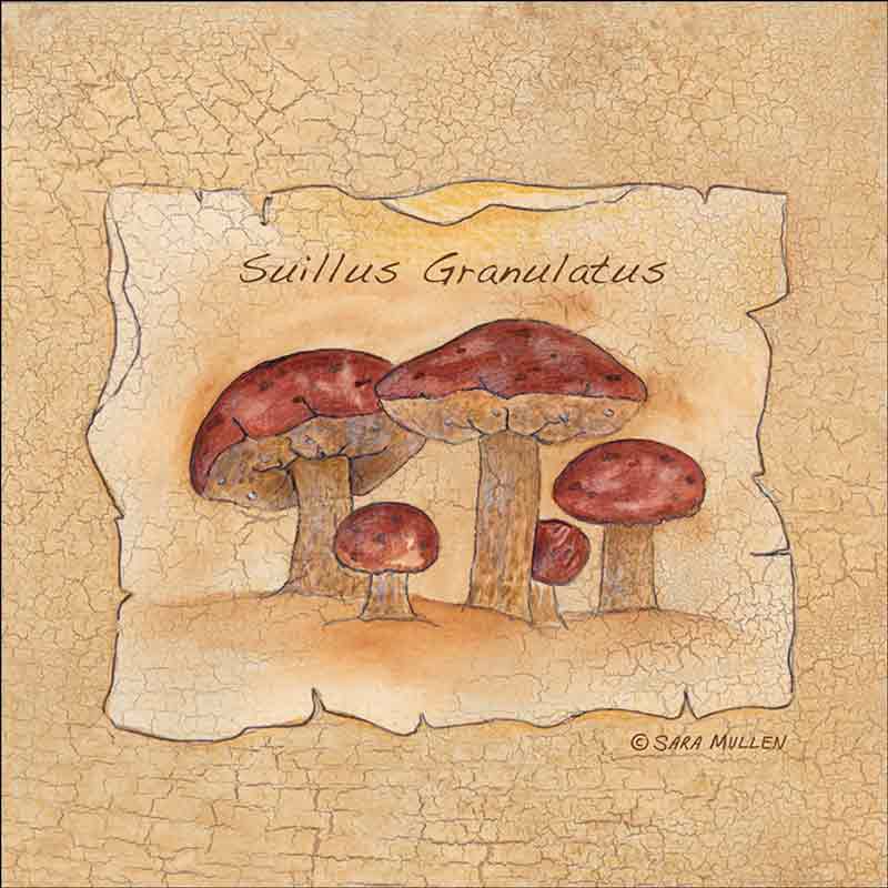 Mushroom 8 by Sara Mullen Ceramic Accent & Decor Tile SM075AT