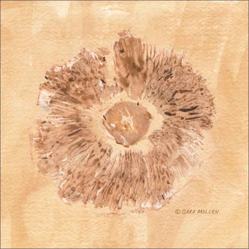 Gills 2 by Sara Mullen Ceramic Accent & Decor Tile - SM077AT