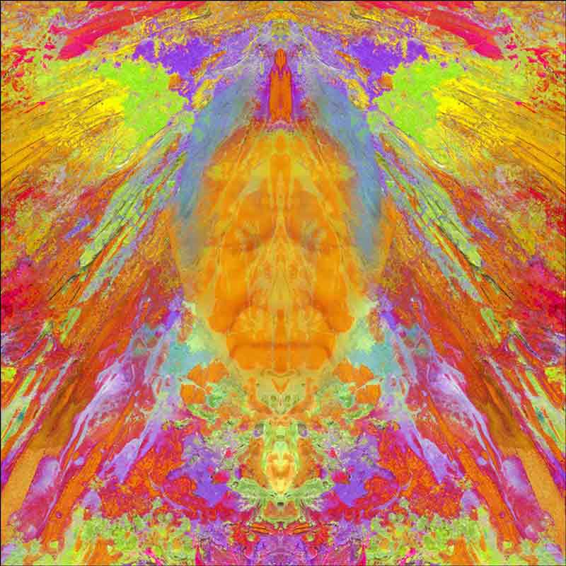 Medicine Man by Tom duBois Accent & Decor Tile TDA037AT