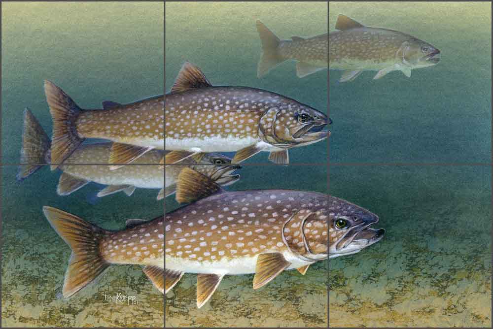 Lake Trout by Tim Knepp Ceramic Tile Mural - TKA004