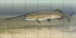 Paddlefish by Tim Knepp Ceramic Tile Mural - TKA007